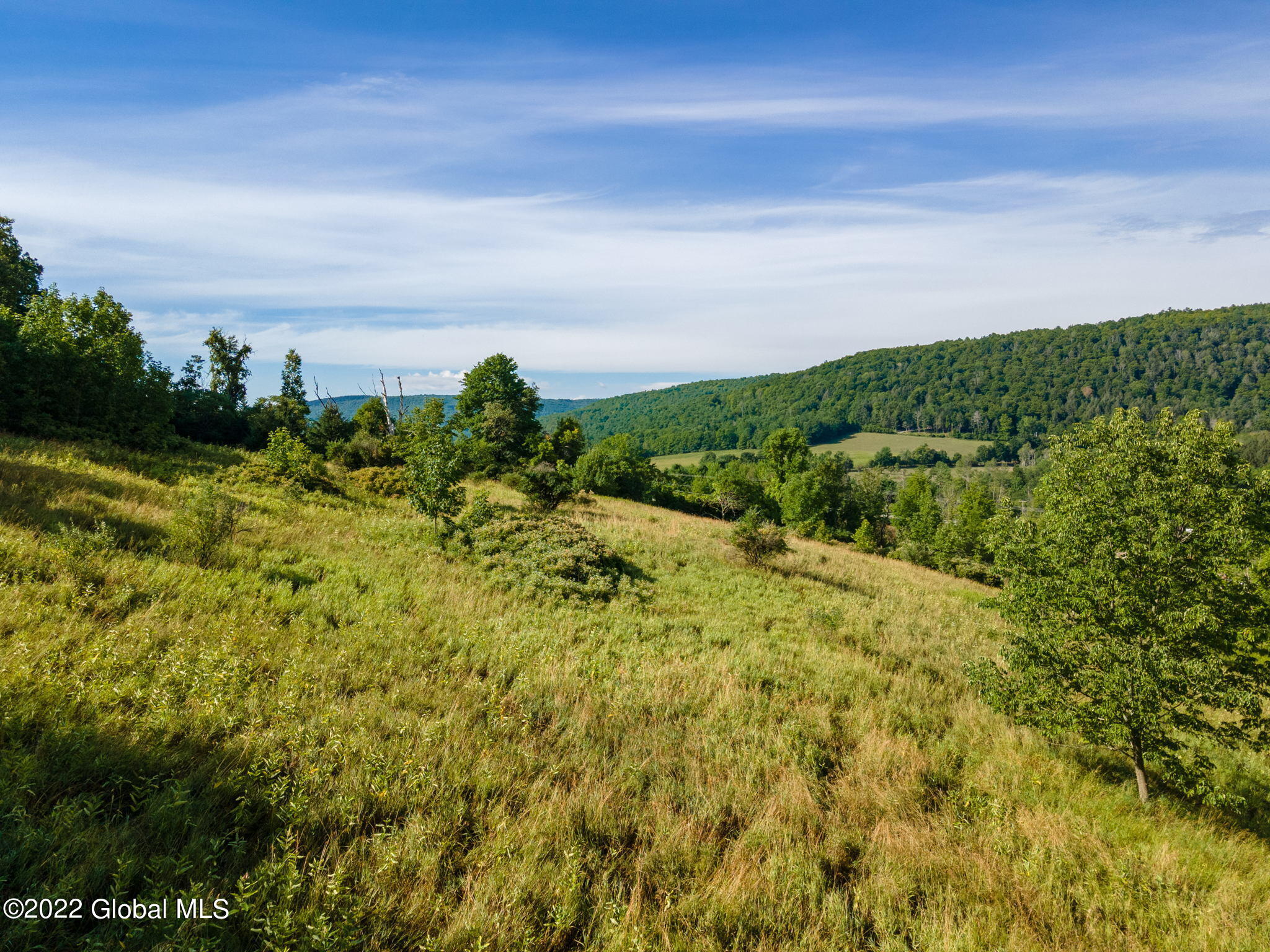 246 Windy Ridge Road Middleburgh, NY 12122 - Photo 7 of 16 7-web-or-mls-258WindyRidgeRd-7
