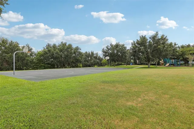 a view of a park with large trees