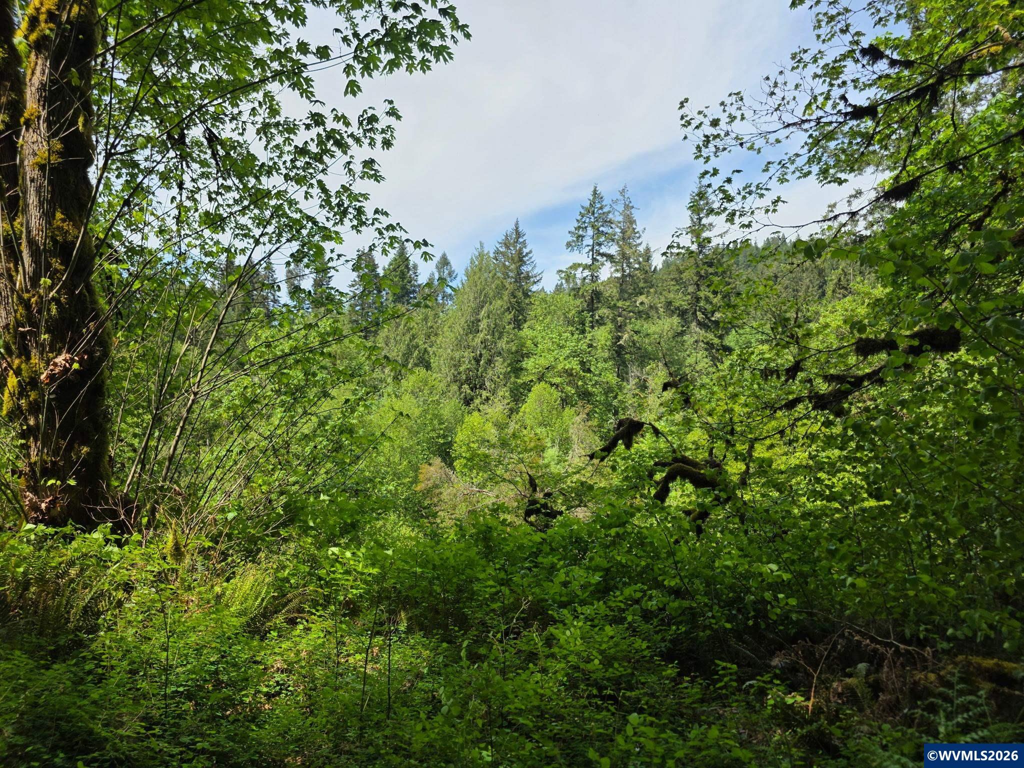 Lot 500 Lewis Cemetery Road Southeast Silverton, OR 97381 - Photo 3 of 9