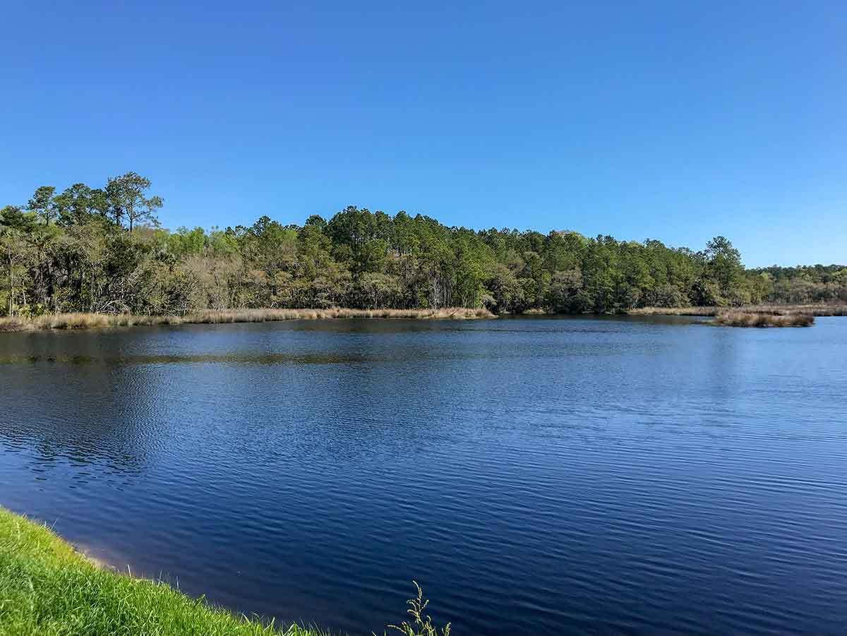 5881 Bears Bluff Road Wadmalaw Island, SC 29487 - Photo 2 of 19 IMG_5275