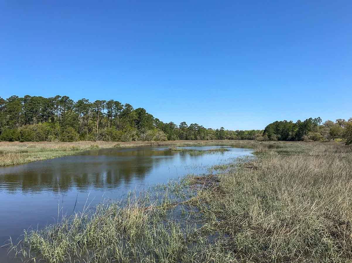 5881 Bears Bluff Road Wadmalaw Island, SC 29487 - Photo 11 of 19 IMG_5284
