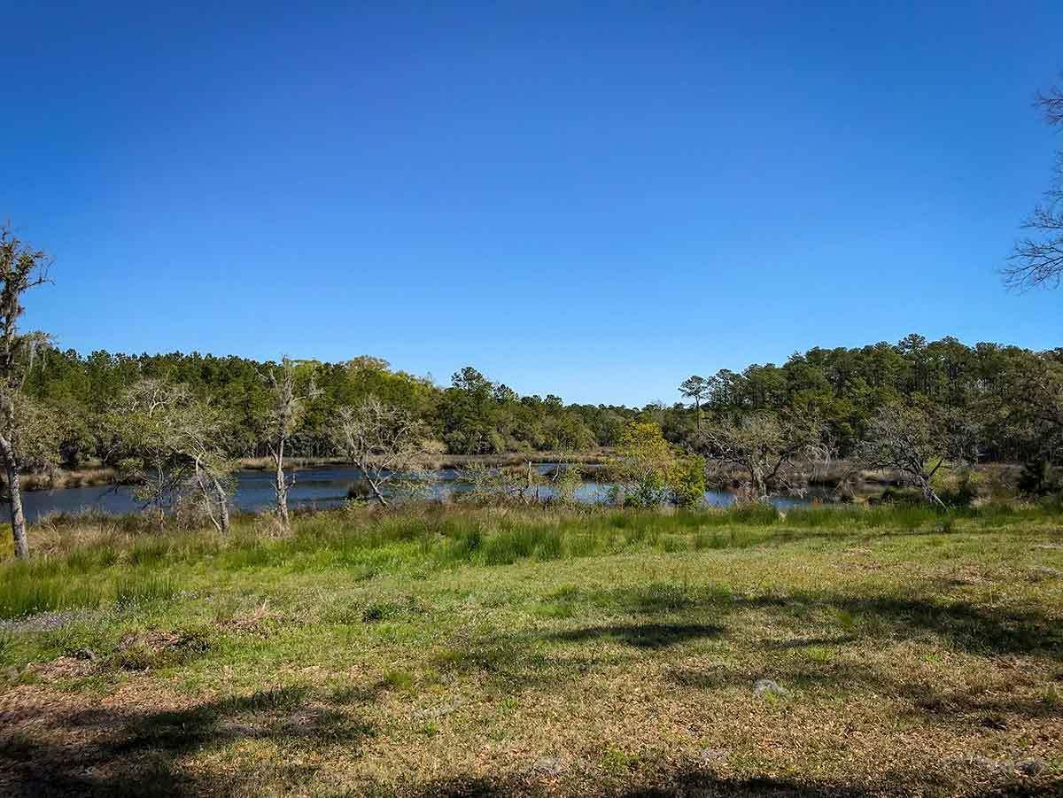 5881 Bears Bluff Road Wadmalaw Island, SC 29487 - Photo 6 of 19 IMG_5279