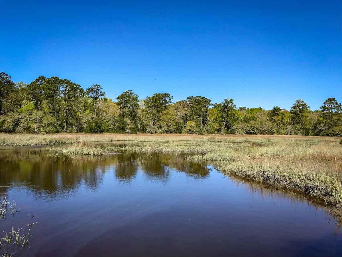 5881 Bears Bluff Road Wadmalaw Island, SC 29487 - Photo 8 of 19 IMG_5281