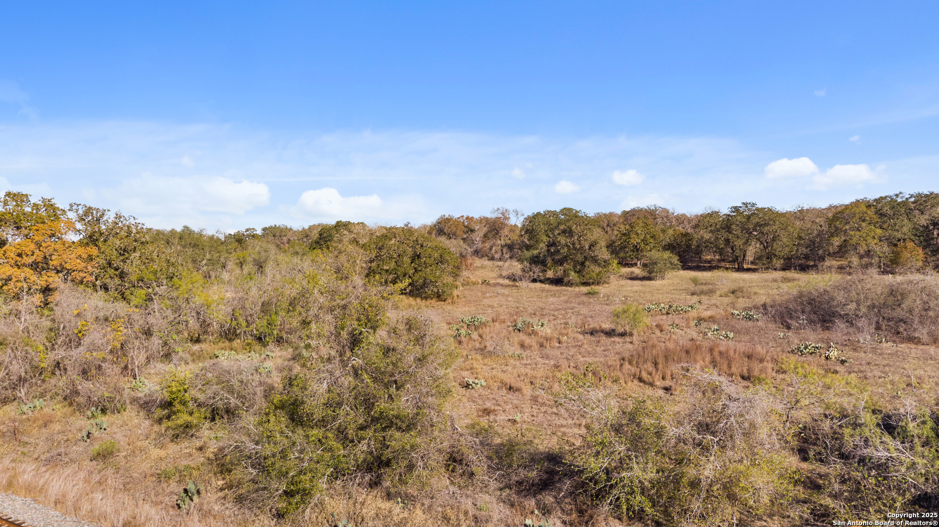 Tbd Pleasanton Road San Antonio, TX 78264 - Photo 12 of 23 a view of mountain view with lots of trees