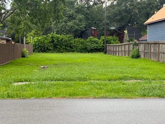 a view of a garden with a pathway