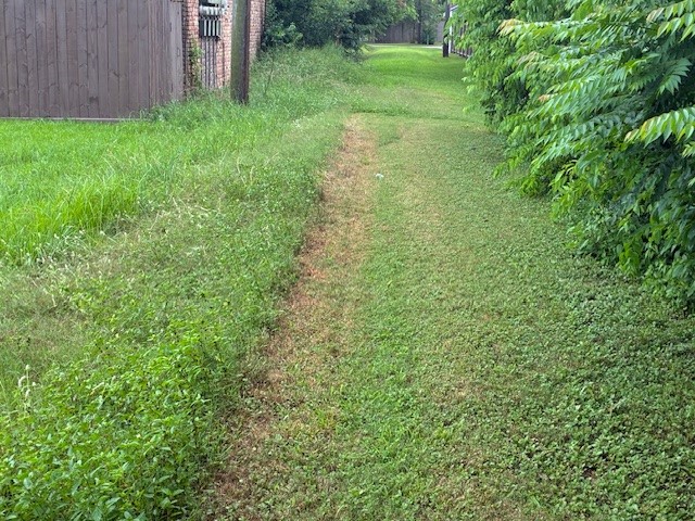 0 Fm 723 Road Rosenberg, TX 77471 - Photo 5 of 5 a view of a yard with a tree