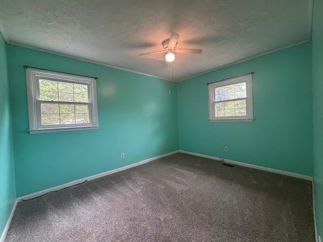1010 Sandcut Road Madisonville, KY 42431 - Photo 19 of 19 Gallery Image 19