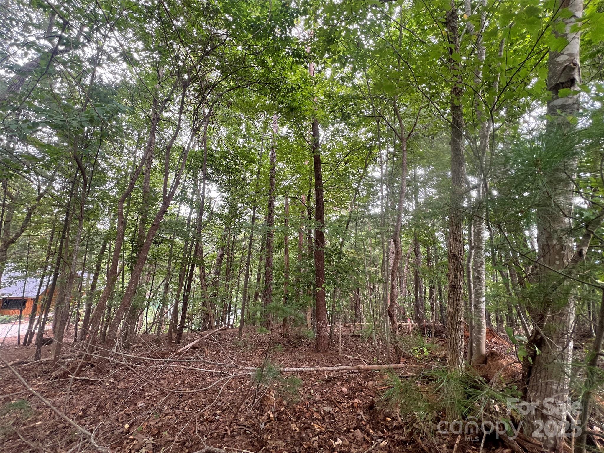 1600 Lillians Point Court, Unit 33 Morganton, NC 28655 - Photo 7 of 17