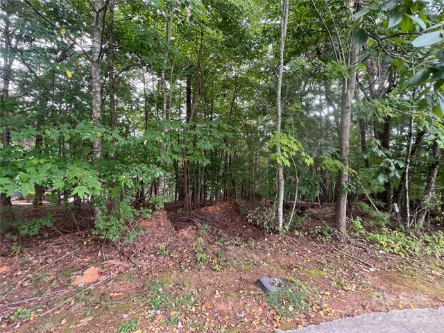 $334,000 | 1600 Lillians Point Court, Unit 33, Morganton, NC 28655