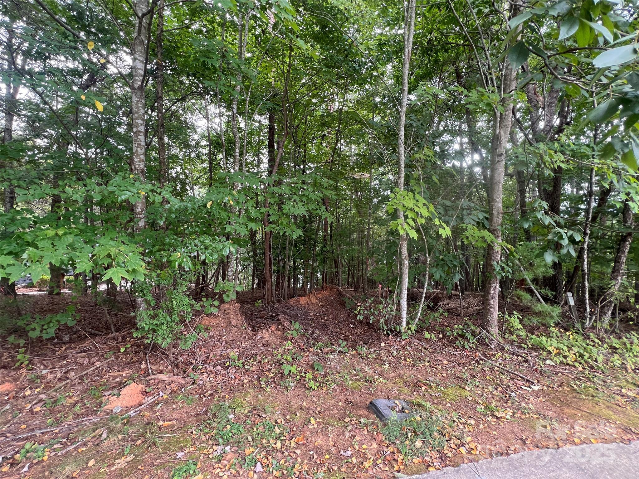 1600 Lillians Point Court, Unit 33 Morganton, NC 28655 - Photo 9 of 17