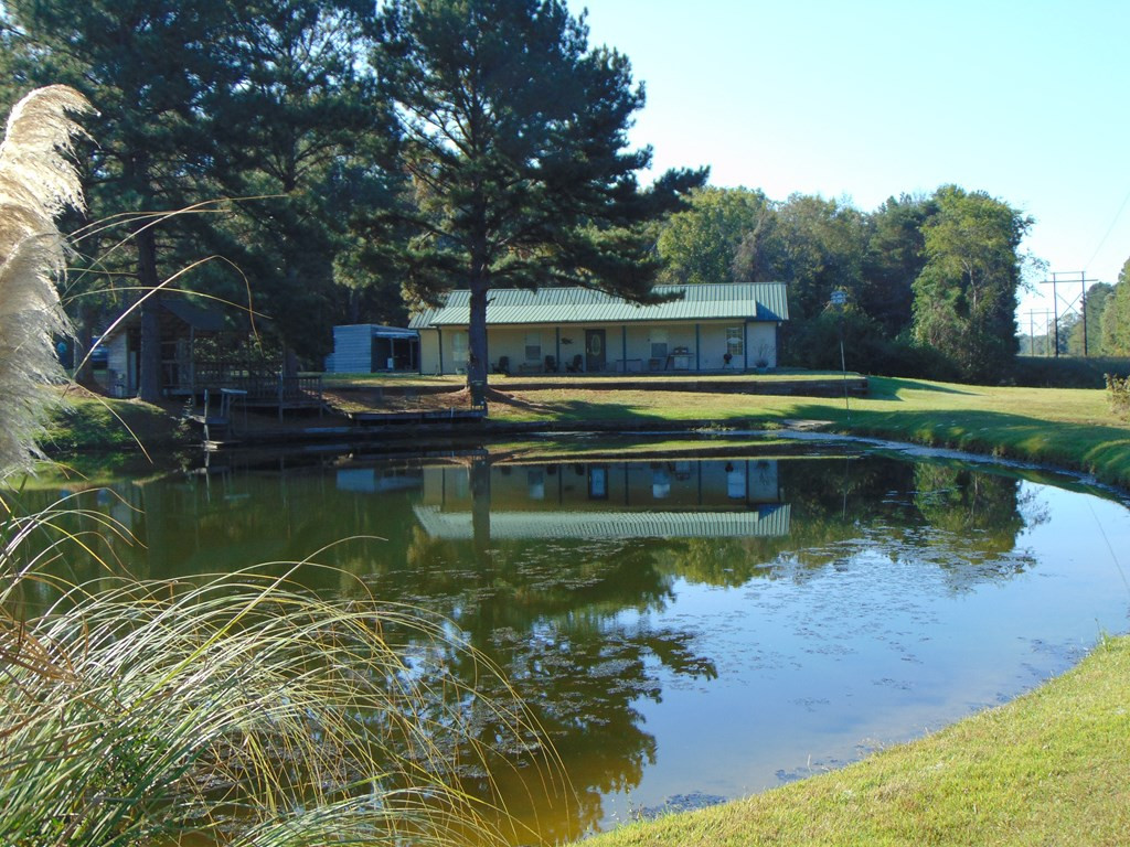 669 Rabbit Road Silver Creek, MS 39663 - Photo 60 of 60 Photo 60