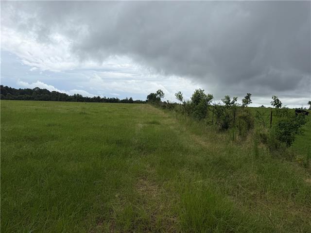 0 East Bell Road Amite, LA 70422 - Photo 6 of 8