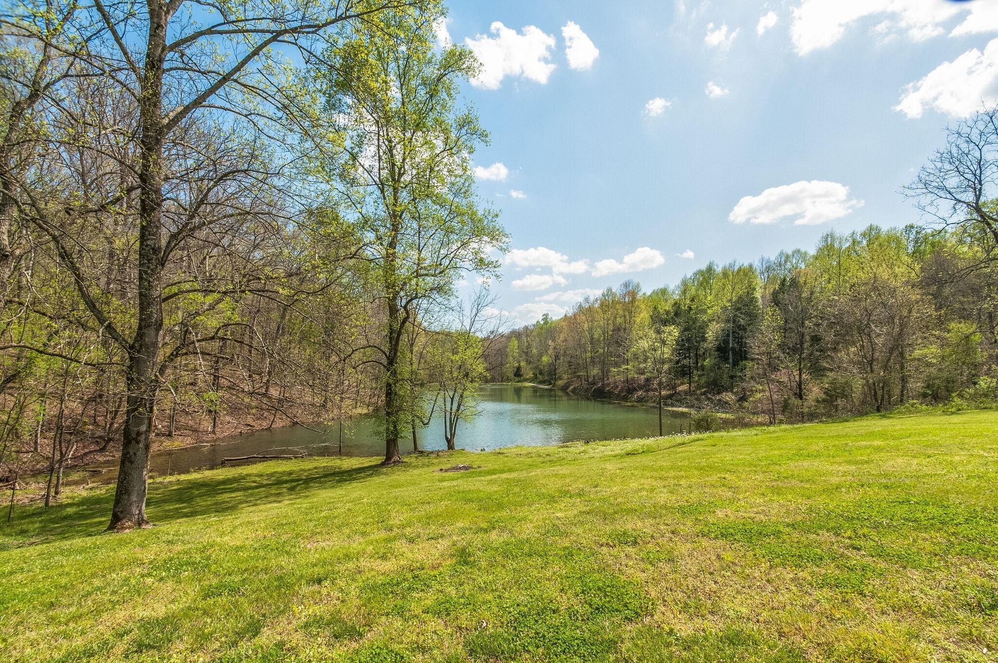 865 Sam Vineyard Road Dickson, TN 37055 - Photo 9 of 42 a view of a yard with a house in the background