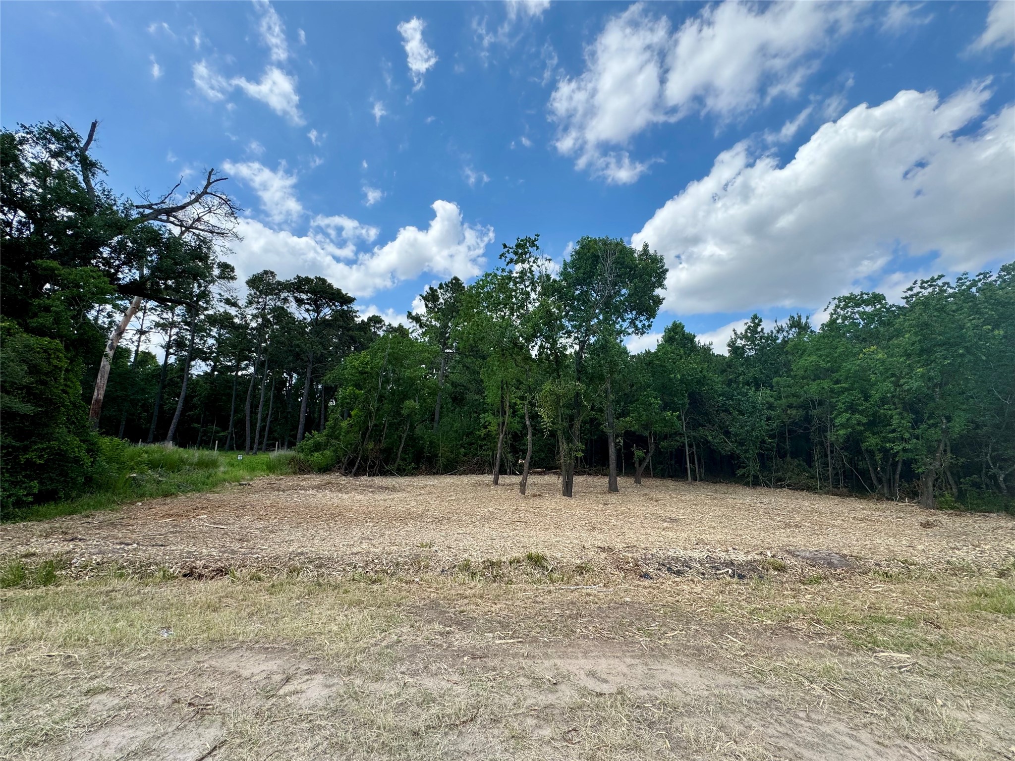 0 West Hardy Road Houston, TX 77073 - Photo 1 of 11 a backyard of a house