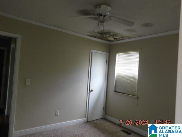 225 Old Lokey Ferry Road Wilsonville, AL 35186 - Photo 6 of 11