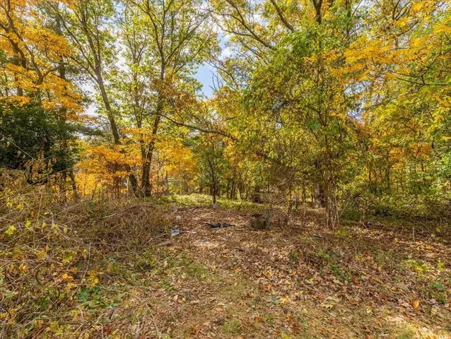 a view of a yard with a tree