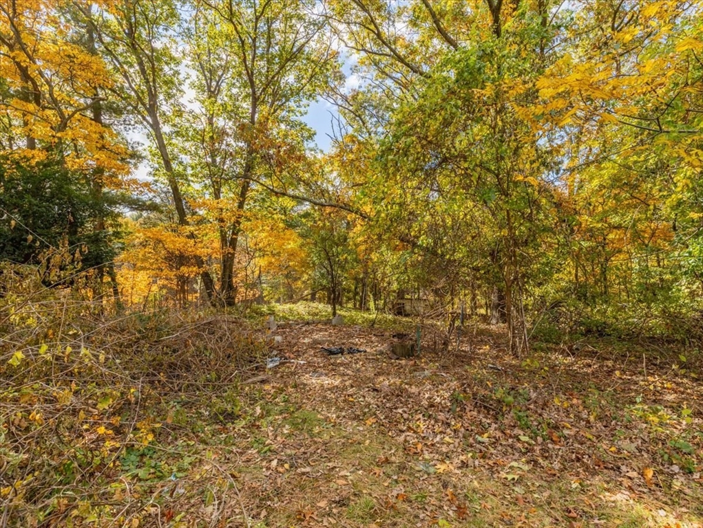 187 Vincent Road Dedham, MA 02026 - Photo 34 of 38 Gallery Image 34