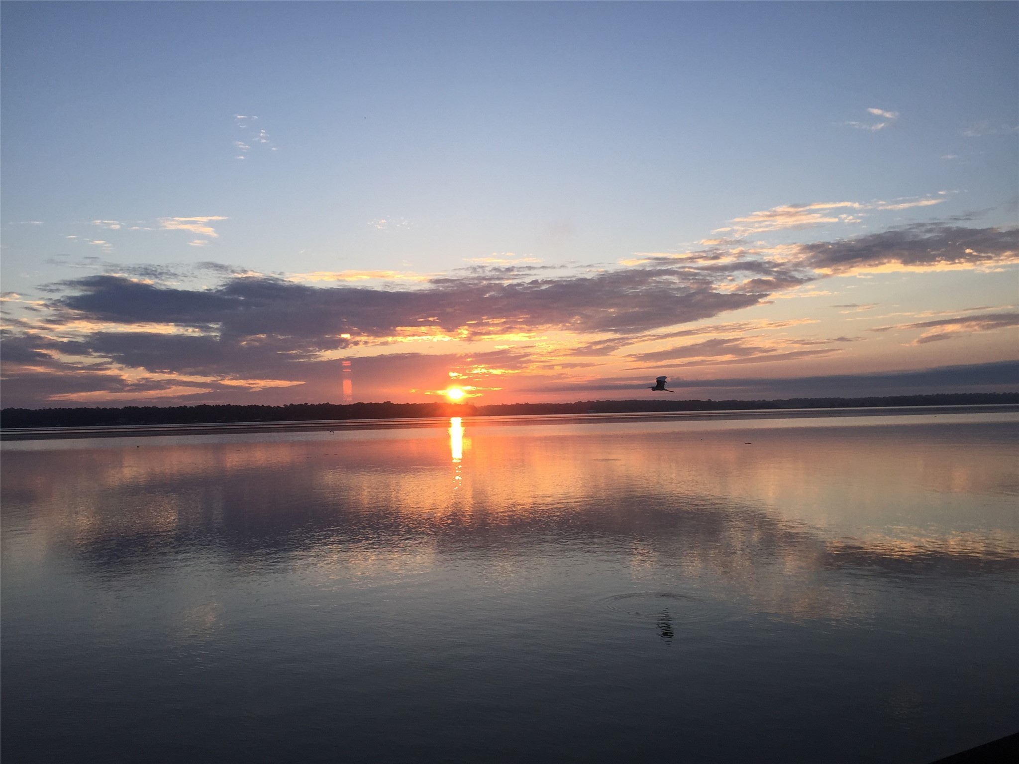 191 Beth Circle Huntsville, TX 77320 - Photo 47 of 50 a view of lake