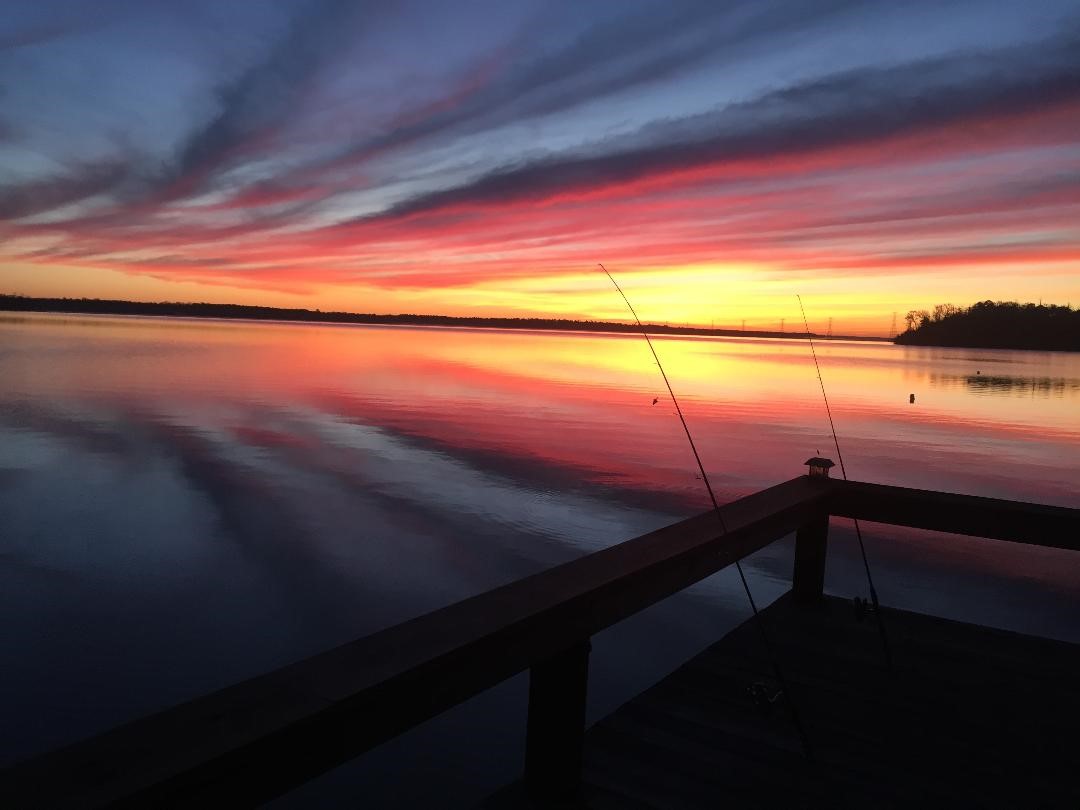 191 Beth Circle Huntsville, TX 77320 - Photo 48 of 50 a view of swimming pool with outdoor space