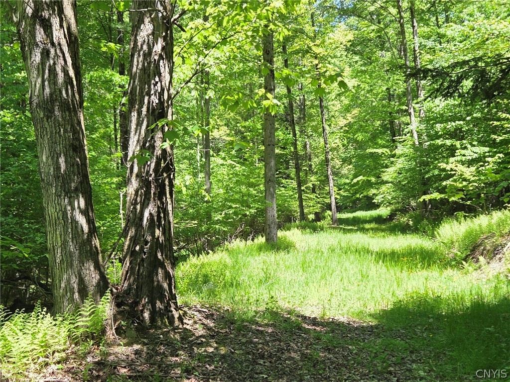 Lillibridge Road Olean, NY 14760 - Photo 37 of 48