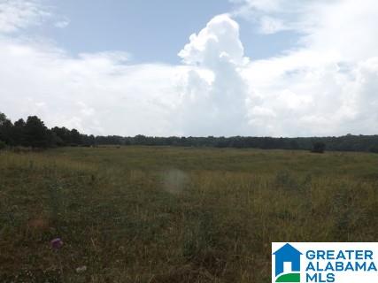0 Highway 24 Oneonta Al Oneonta, AL 35121 - Photo 6 of 27