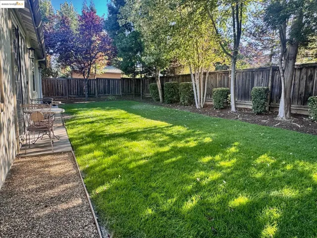 a view of a backyard with table and chairs and a large tree