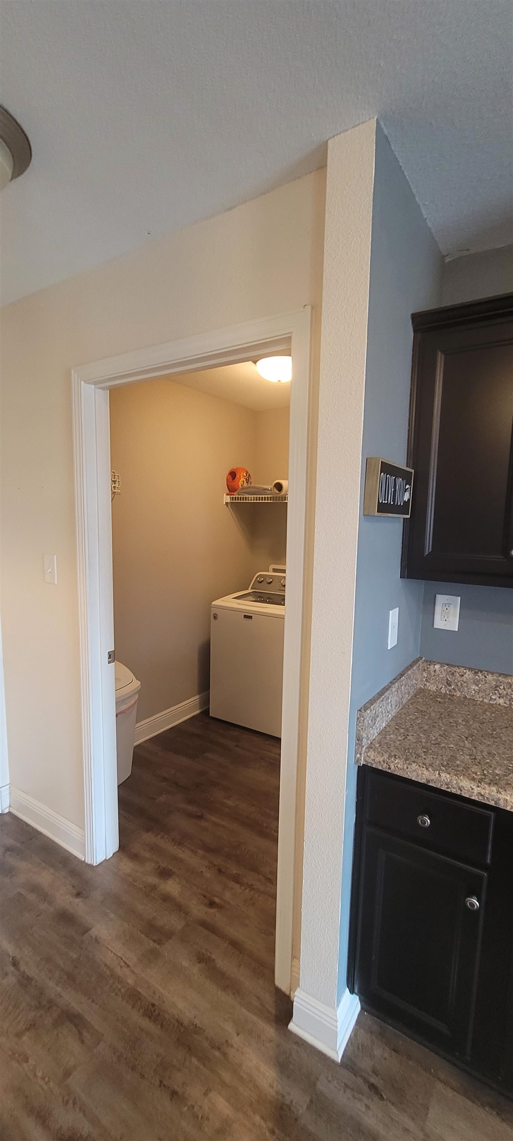 21628 Talbot Lane Robertsdale, AL 36567 - Photo 12 of 28 Laundry Room