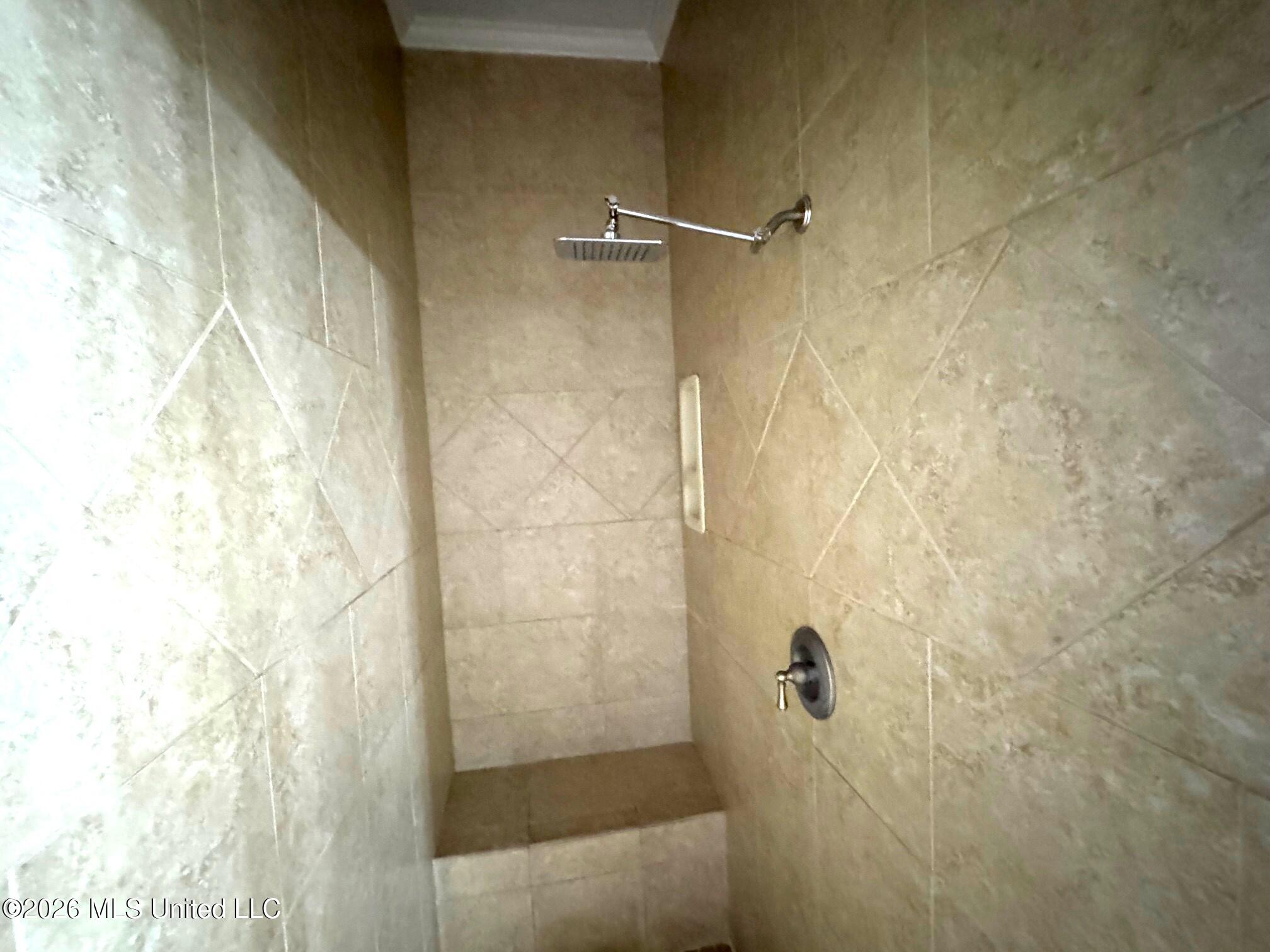 1038 Deerfield Road Summit, MS 39666 - Photo 21 of 32 Primary walk-in shower
