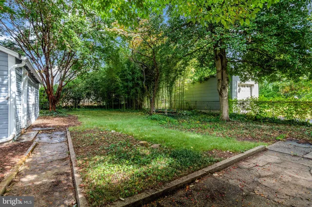 a view of a backyard with large trees