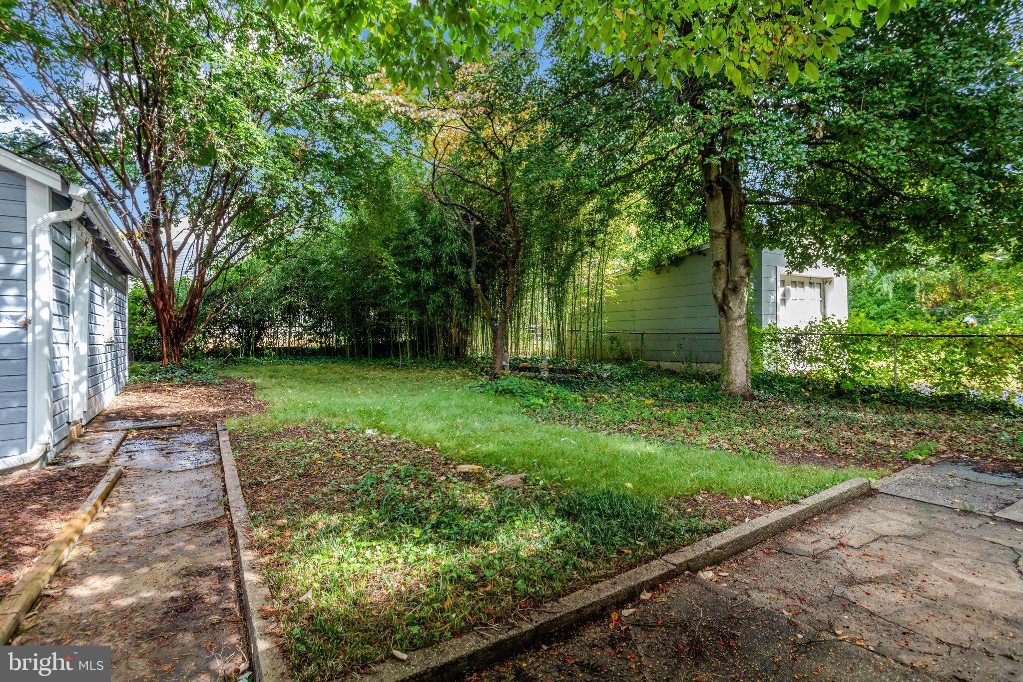 2621 2nd Road North Arlington, VA 22201 - Photo 39 of 44 a view of a backyard with large trees