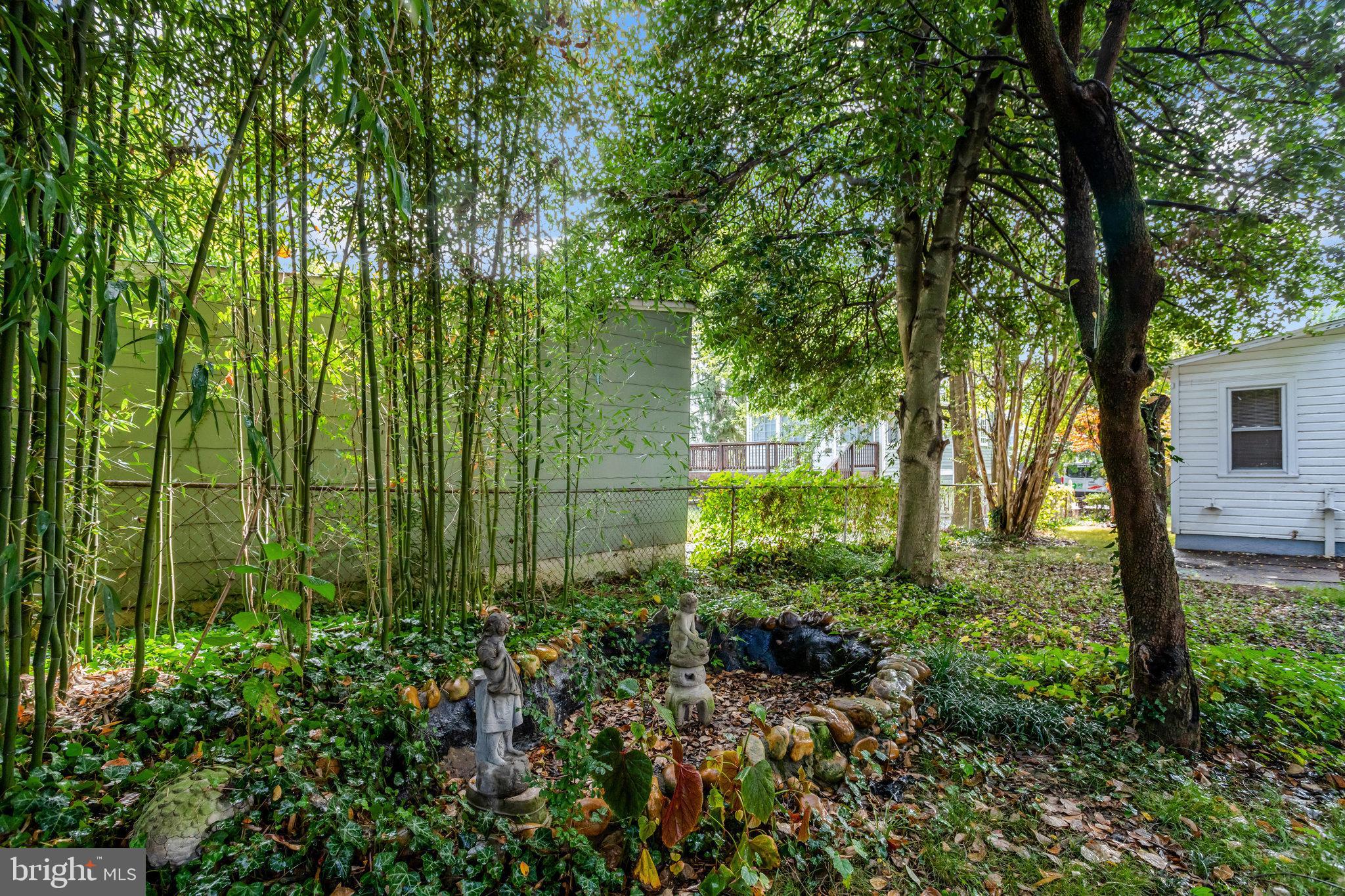 2621 2nd Road North Arlington, VA 22201 - Photo 43 of 44 a view of a garden