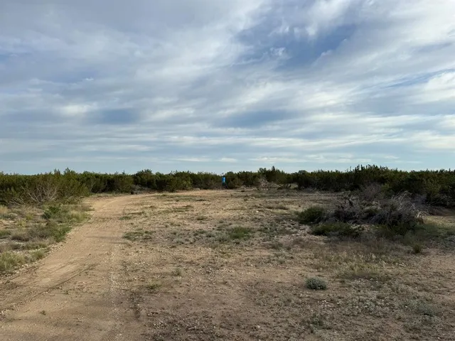 a view of a dry yard with trees in the background