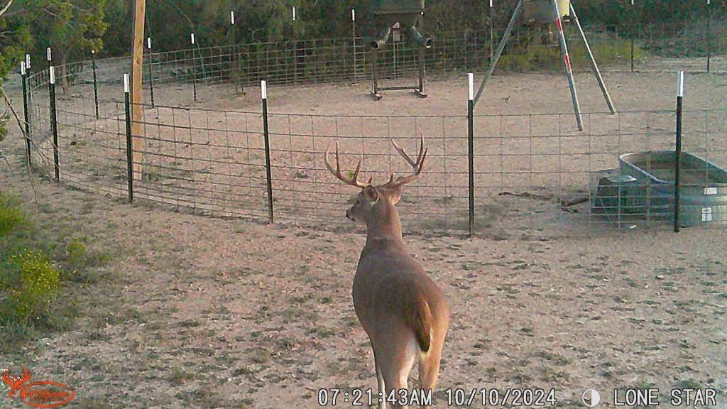 4 Rr 11 Millersview, TX 76862 - Photo 12 of 34