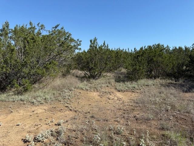 4 Rr 11 Millersview, TX 76862 - Photo 15 of 34 a view of a dry yard with trees in the background
