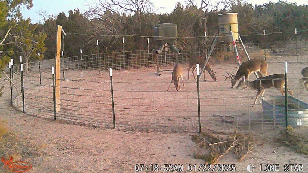 4 Rr 11 Millersview, TX 76862 - Photo 20 of 34 a view of a pathway