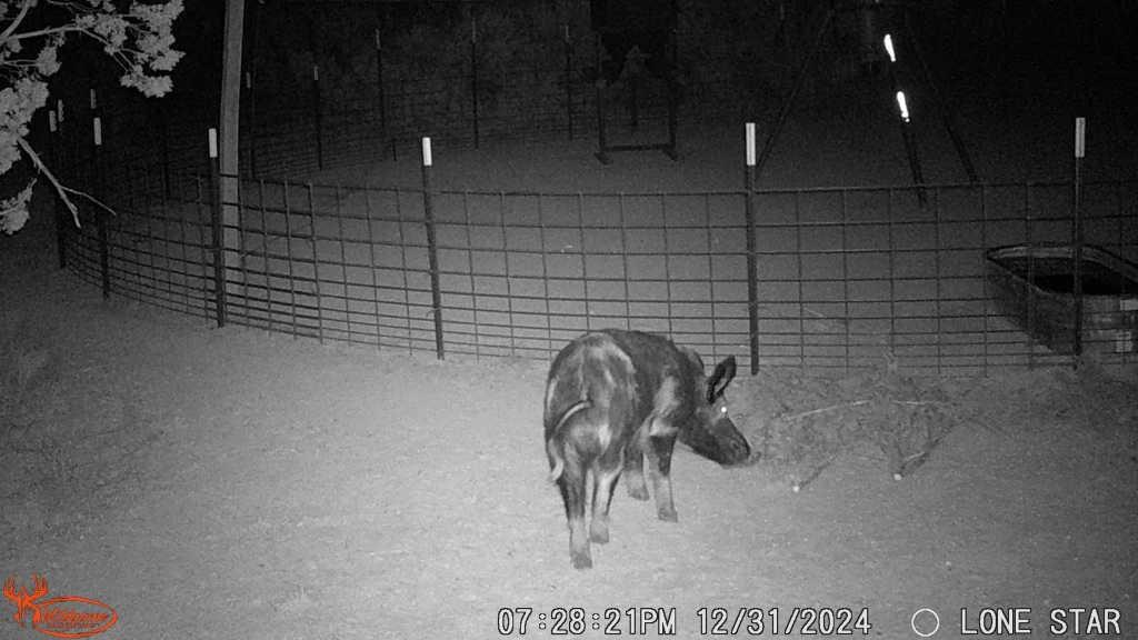 4 Rr 11 Millersview, TX 76862 - Photo 23 of 34 a bathroom with a shower
