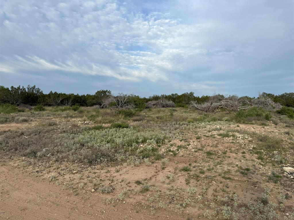 4 Rr 11 Millersview, TX 76862 - Photo 25 of 34 a view of a field with trees in background
