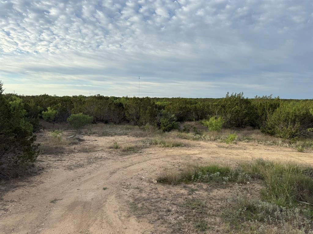 4 Rr 11 Millersview, TX 76862 - Photo 30 of 34 a view of a dry yard with green space
