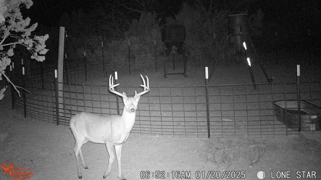 4 Rr 11 Millersview, TX 76862 - Photo 33 of 34 a bathroom with a shower