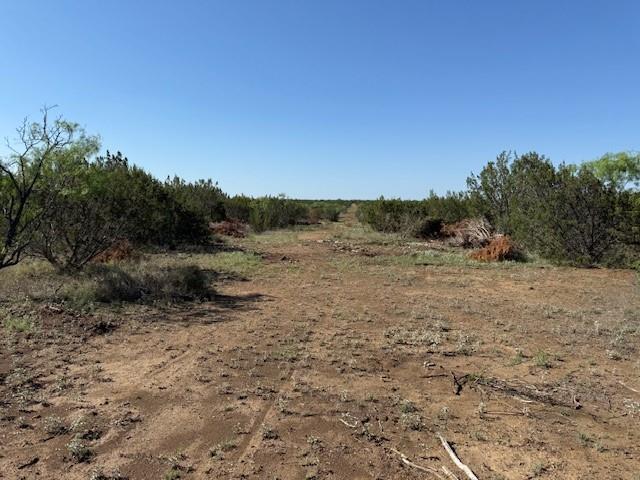 4 Rr 11 Millersview, TX 76862 - Photo 4 of 34 a view of a field with trees in the background