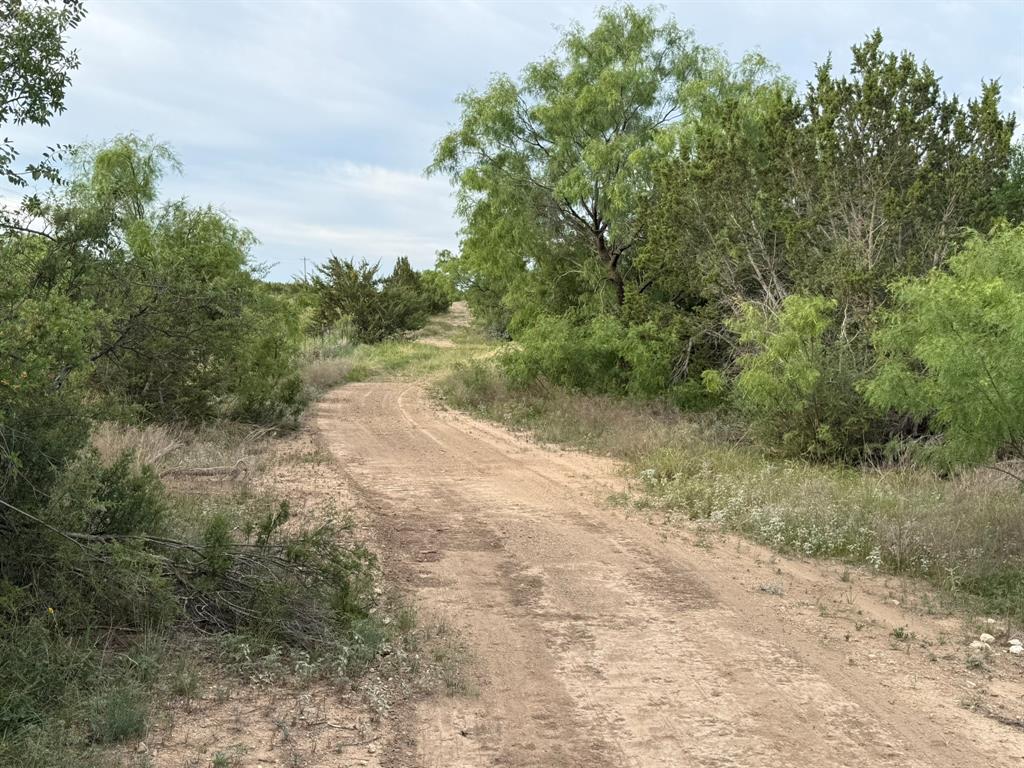 4 Rr 11 Millersview, TX 76862 - Photo 9 of 34 a view of a dirt road with trees in the background