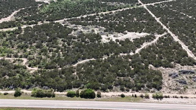 a view of a forest with a street