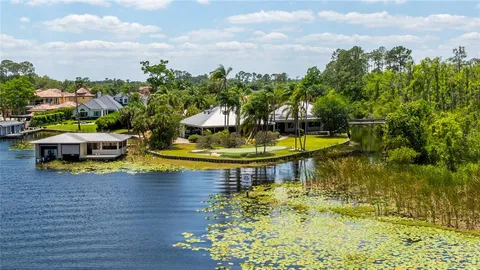 a swimming pool with some tall trees
