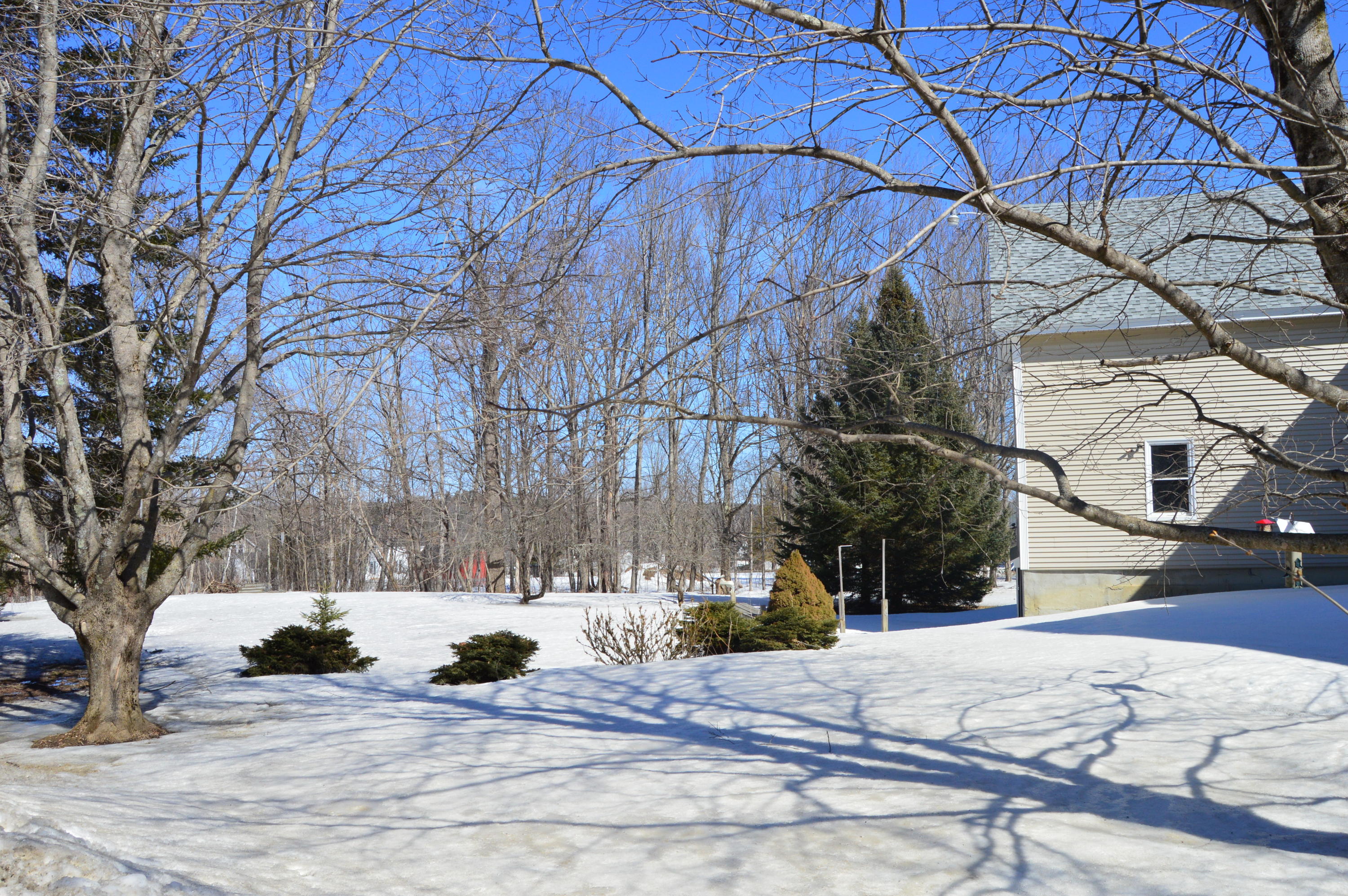 45 Plymouth Road Carmel, ME 04419 - Photo 37 of 37 DSC_0053