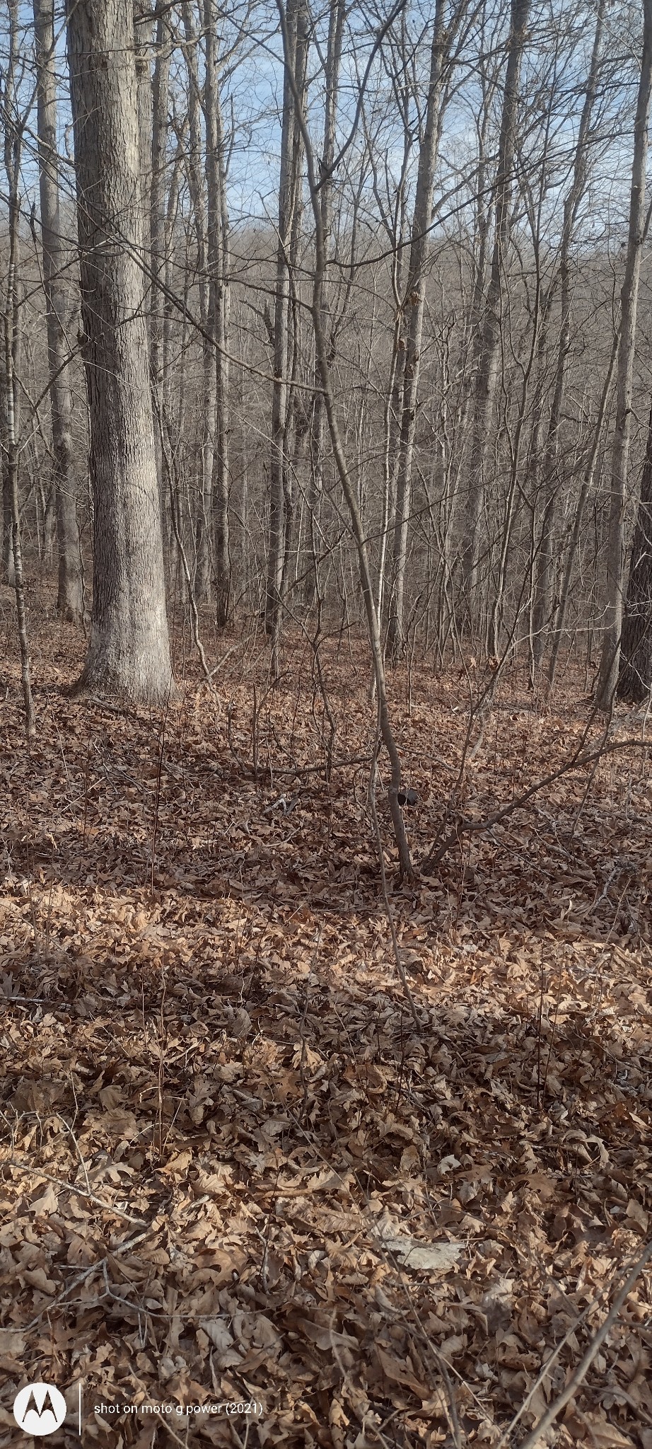 1 Ridge Cliff Drive Monteagle, TN 37356 - Photo 2 of 8