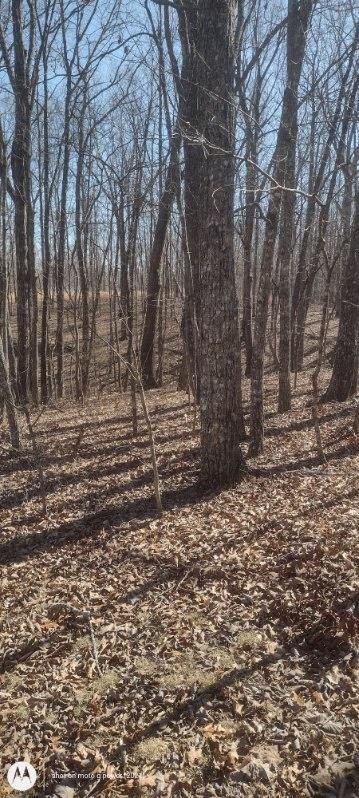 1 Ridge Cliff Drive Monteagle, TN 37356 - Photo 3 of 8