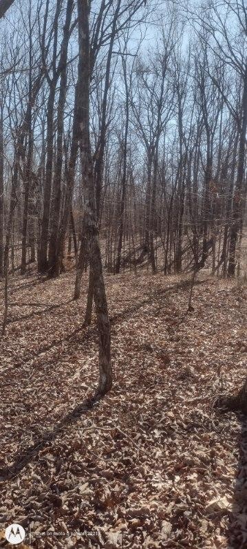 1 Ridge Cliff Drive Monteagle, TN 37356 - Photo 4 of 8