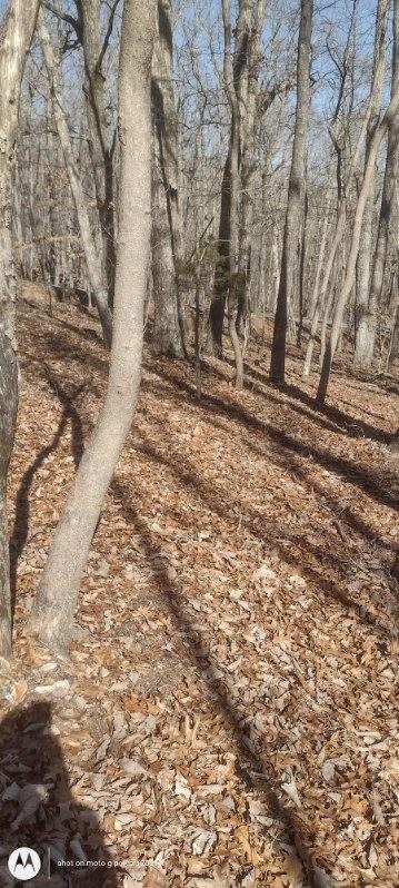 1 Ridge Cliff Drive Monteagle, TN 37356 - Photo 5 of 8