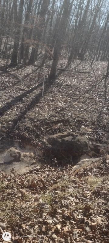 1 Ridge Cliff Drive Monteagle, TN 37356 - Photo 8 of 8