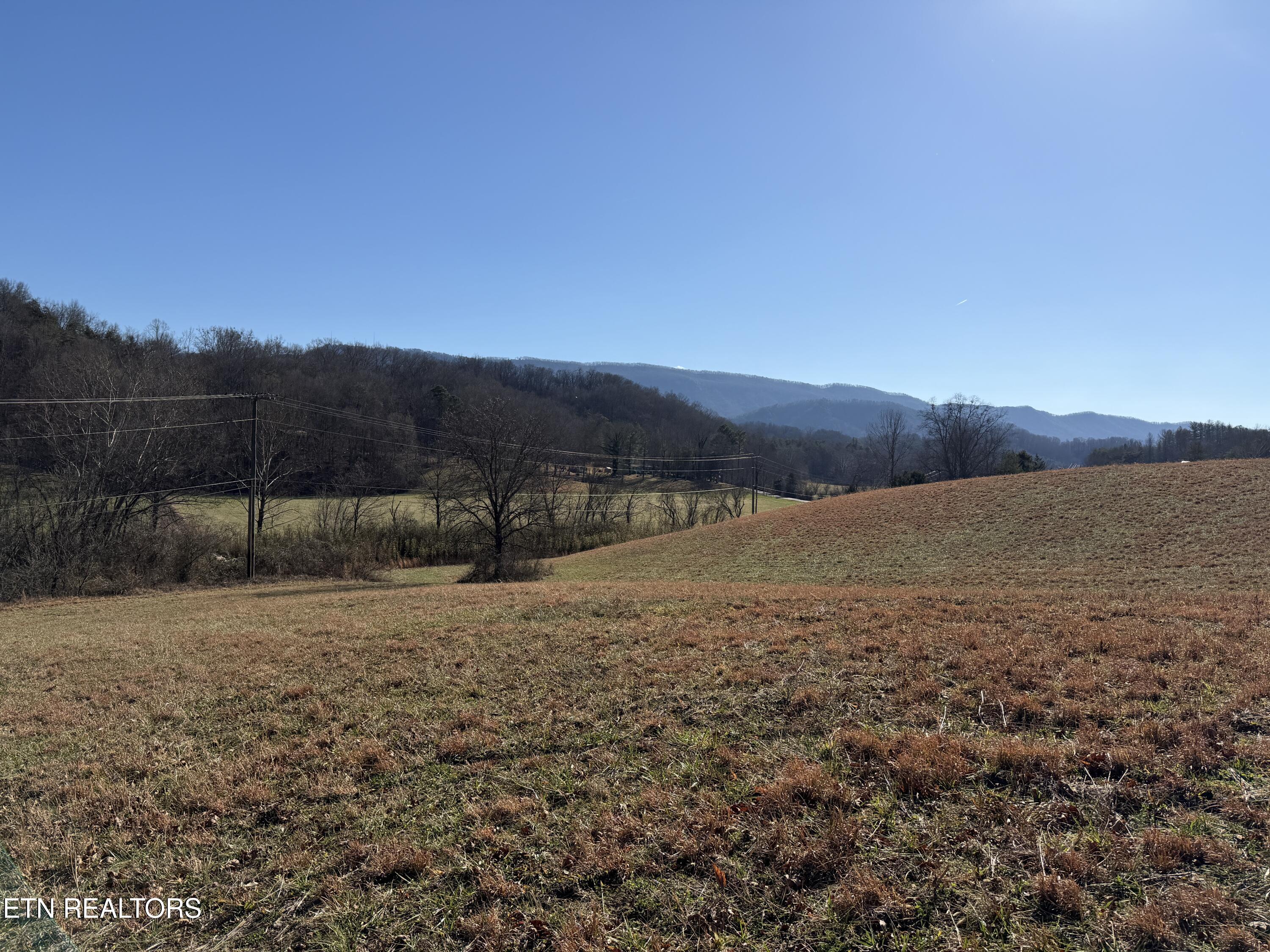 1210 Dupont Road Seymour, TN 37865 - Photo 11 of 44 IMG_2145